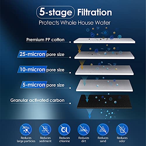 WF10PG Whole House Water Filter for WHF21 (2 Count)