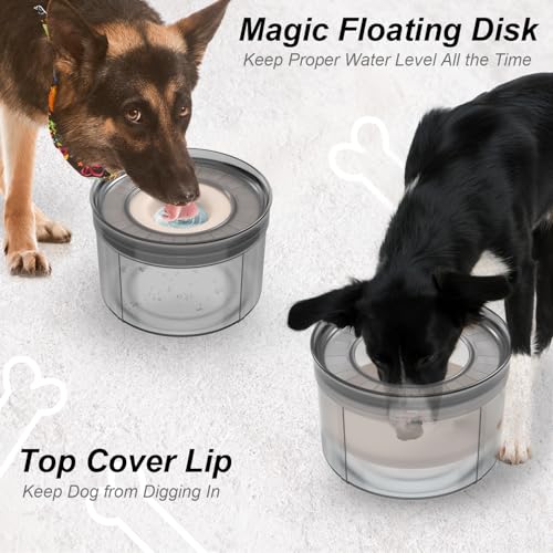 No Spill Water Bowl for Dogs