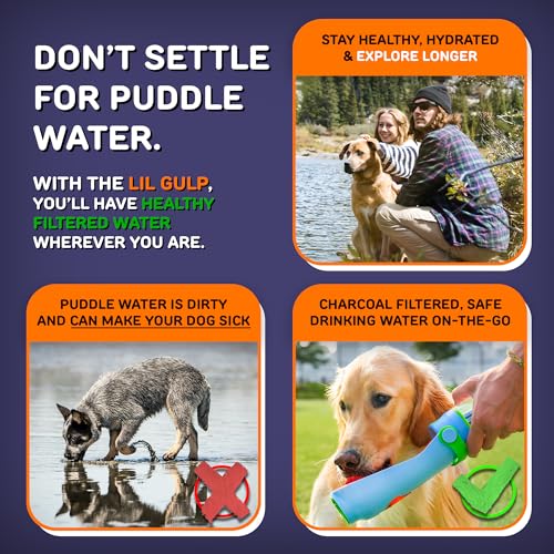 Lil Gulp Dog Water Bottle 15 Fl oz Portable Travel Bottle