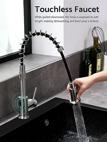 Touchless Kitchen Faucet