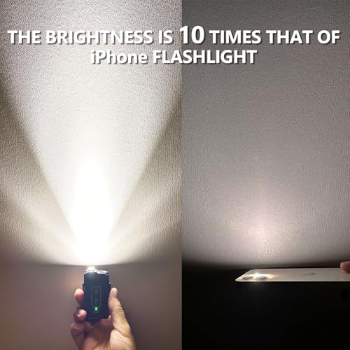 Flashlight Rechargeable with 365nm UV Black Light and White Light