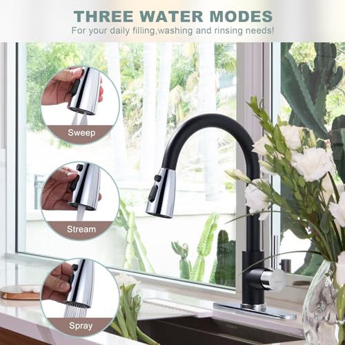 Black and Chrome Kitchen Faucet with Sprayer