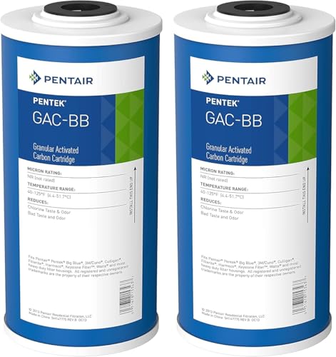 Pentair Pentek GAC (2 Count)