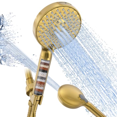 Filtered Shower Head with Handheld Brushed Gold 1 Filter