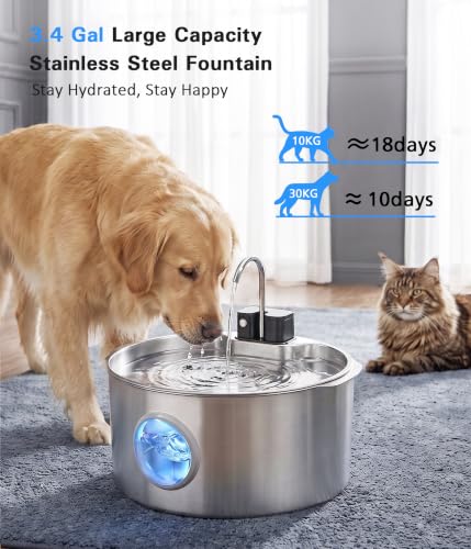 Large Cordless Dog Water Fountain Stainless Steel