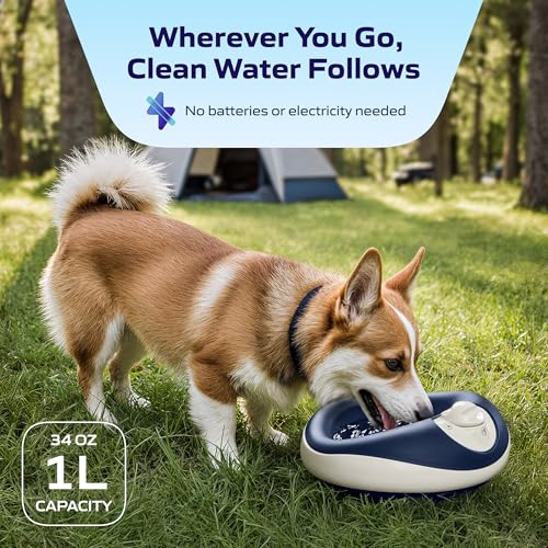 Mini Portable Filtered Water Bowl for Cats & Small Dogs