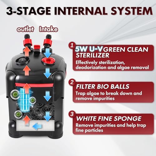 Canister Filter