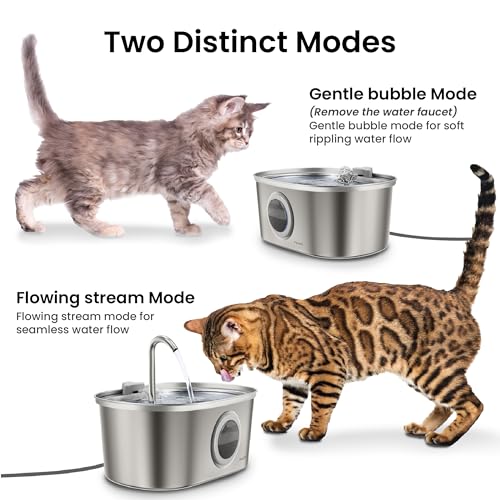 SS 01 Stainless Steel Faucet
