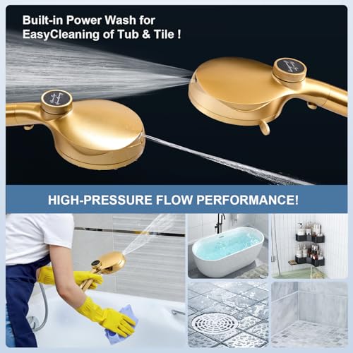 Filtered Shower Head with Handheld
