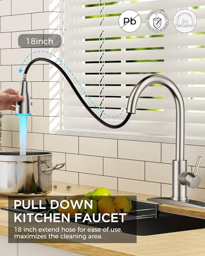 Kitchen Faucet with LED Light Sprayer