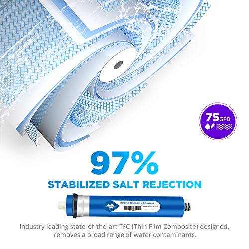 NSF ANSI 58 Certified 75 GPD Reverse Osmosis Membrane (25 Count)