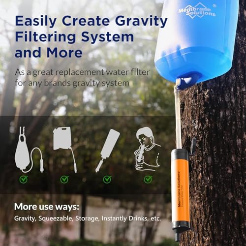 Personal Water Filter Straw S1 (2 Count)