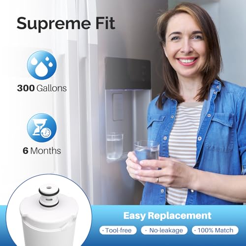 CS 52 Water Filter (2 Count)