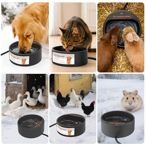 Heated Water Bowl for Outdoor Cats