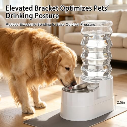 8L Elevated Dog Water Dispenser