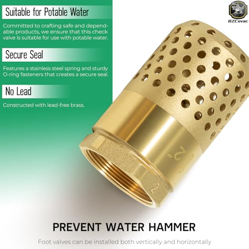 2 Inch Brass Foot Valve with Mesh Strainer