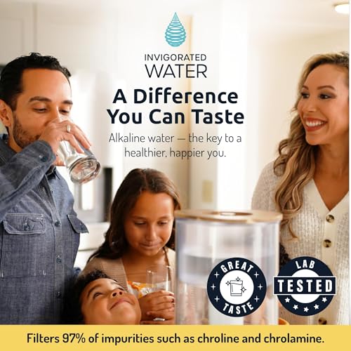 3 Pack Alkaline Water Filter PH001 with 3 (3 Count)
