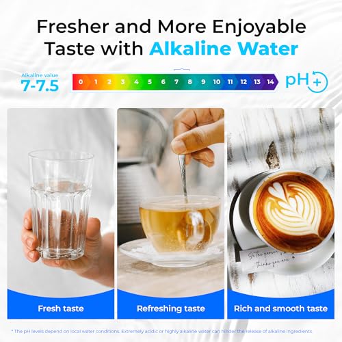 TSB ALK 8 Layer Slightly Alkaline Under Sink Water Filter System