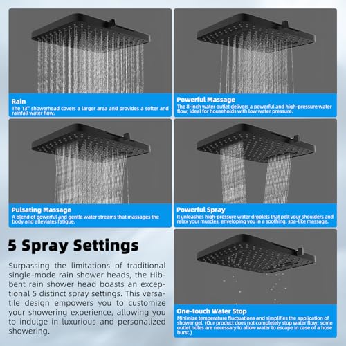 13'' 5 spray Rain Shower Head with 10