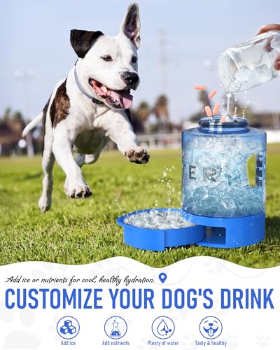 Portable Dog Travel Water Bottle