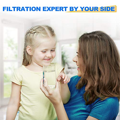 RWF0100A Refrigerator Water Filter (4 Count)