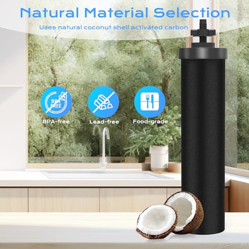 NSF ANSI 42&372 Certified Water Filter (2 Count)