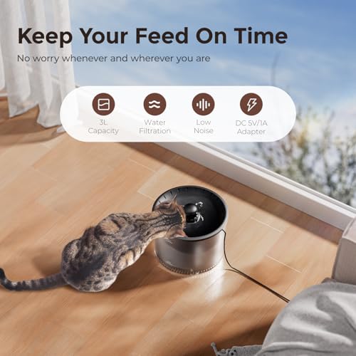 5G WiFi Automatic Cat Feeder and Water Dispenser