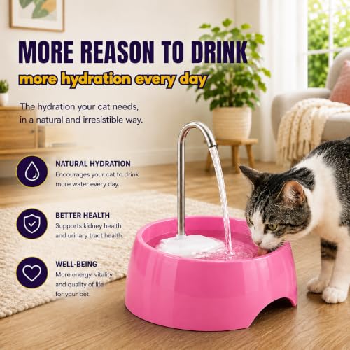 Aqua MINI Portable Pet Water Fountain