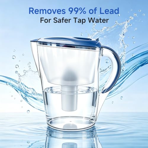Water Filter Pitcher with 2 Replacement Filters