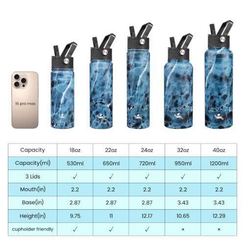 24 oz Insulated Stainless Steel Water Bottle with Straw Lid