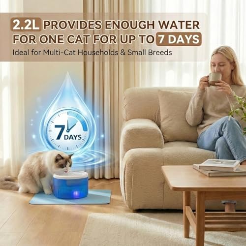 Cat Water Fountain
