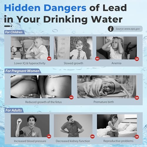 SGS Tested Lead Removal Whole House Water Filter System