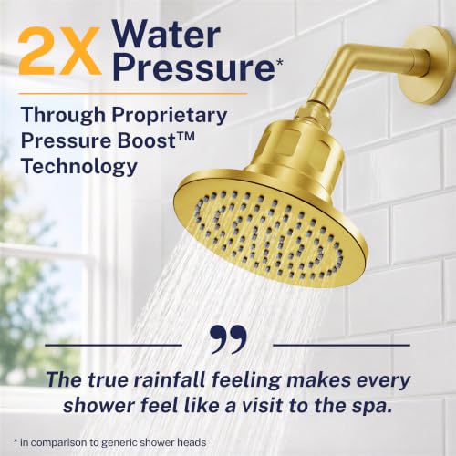 Gillian Filtered Shower Head for Hard Water