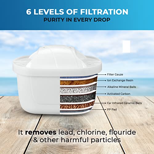 Pitcher of Life 3.8L Alkaline Water Pitcher with 2L Filtering Capacity