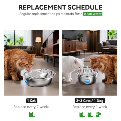 Cat Water Fountain Filters