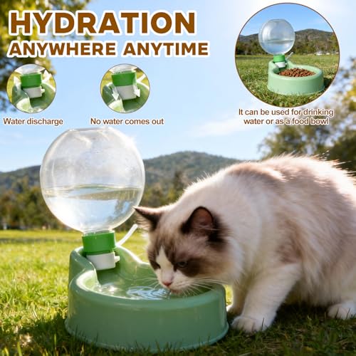 Cat Water Fountain