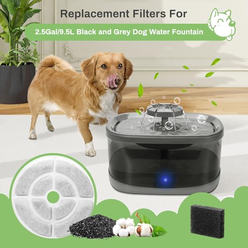 6 Pack Replacement Filters for 2.5Gal