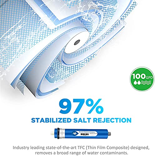 100 GPD Reverse Osmosis Membrane (2 Count)