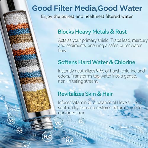 Filtered Shower Head with Handheld