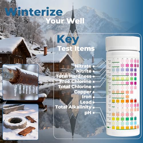 Drinking Water Test Strips 125ct (125 Count)