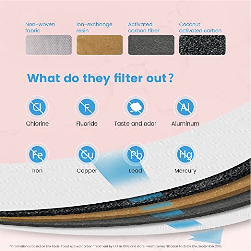PT 05P Water Filter Pitcher with 4 Filters (2 Count)