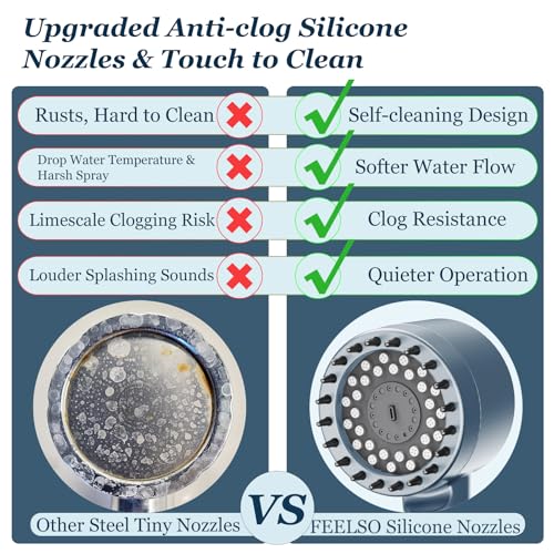 Filtered Shower Head with Handheld