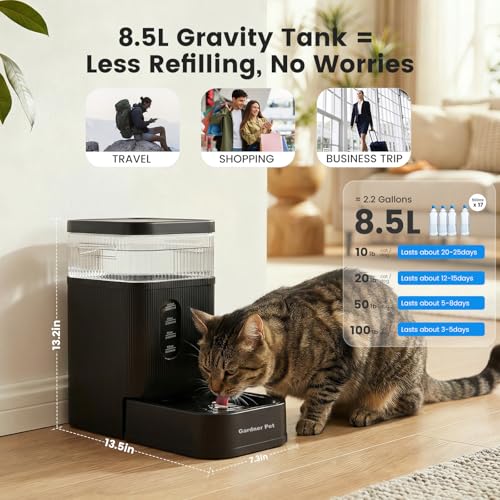 2.2 Gallon Automatic Dog Water Bowl Dispenser 8.5L Gravity Water Feeder with Stainless Steel Bowl & Maifan Stone Filter