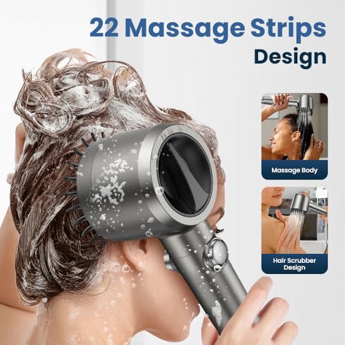 Filtered Shower Head with Handheld High Pressure Shower Head