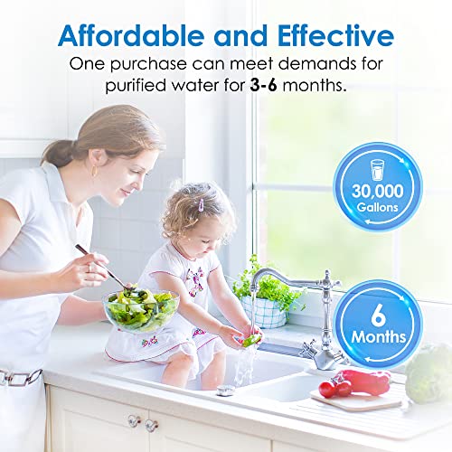 FXHSC Whole House Water Filter for GE® FXHSC (2 Count)