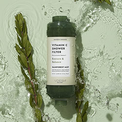 Vitamin C Shower Filter (2 Count)