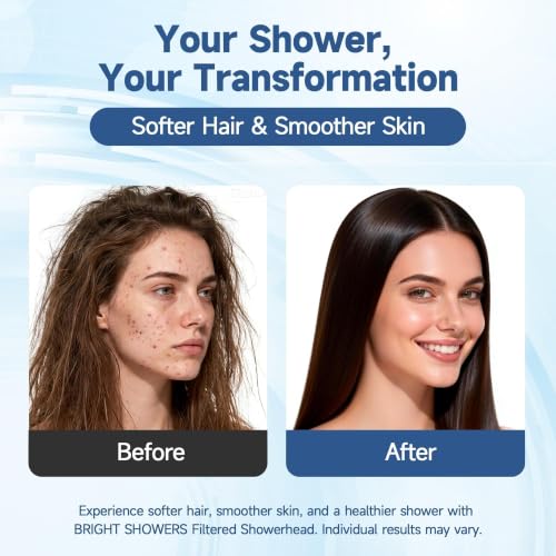 Filtered Shower Head with Handheld