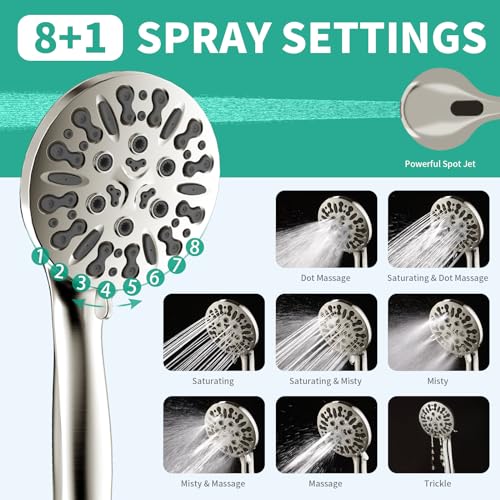 Filtered Shower Head with Handheld Combo