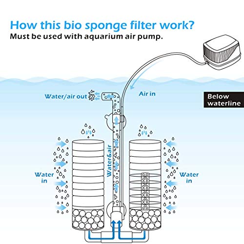 Sponge Filter