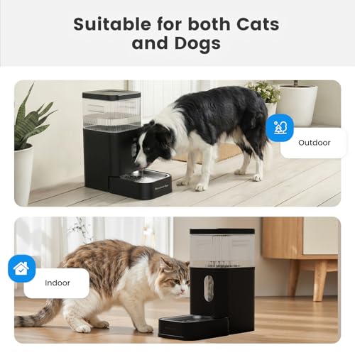 2.9 Gallon Automatic Dog Water Dispenser with Stainless Steel Bowl